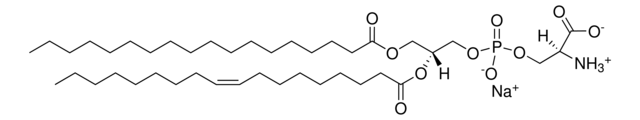 840032P  脑PS